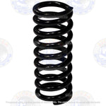252243 MILLER SPRING,CPRSN BIG